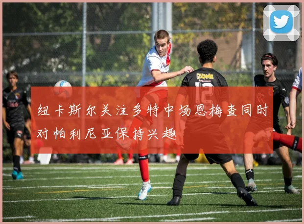 纽卡斯尔关注多特中场恩梅查同时对帕利尼亚保持兴趣